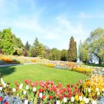 Insel Mainau - beliebtes Ausflugsziel am Bodensee