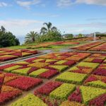 Madeira