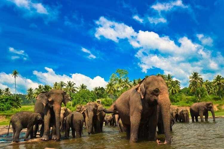 Urlaub in Sri Lanka