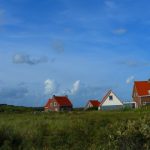 Texel - die Insel mit dem einzigartigen Texelschaf