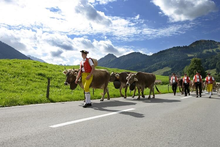 6 Gründe seinen Urlaub im Appenzellerland zu verbringen