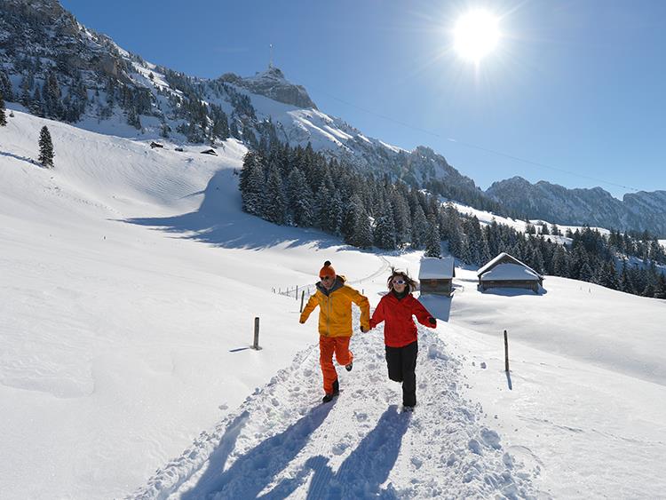 Appenzellerland Winter