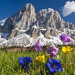 Urlaub Dolomiten