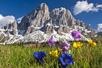 Urlaub Dolomiten