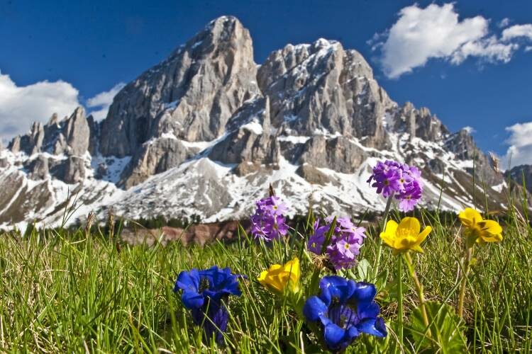 Dolomiten – Urlaub in traumhafter Bergwelt in Südtirol