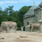 Tierpark Hellabrunn