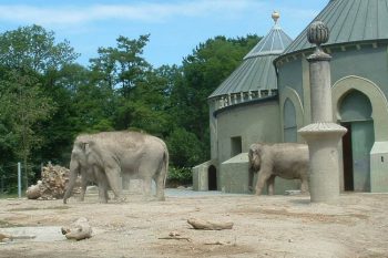 Tierpark Hellabrunn