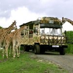 Serengeti-Park Hodenhagen