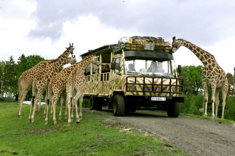 Serengeti-Park Hodenhagen – beliebtes Ausflugsziel in der Lüneburger Heide