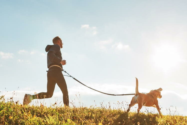Urlaub mit Hund