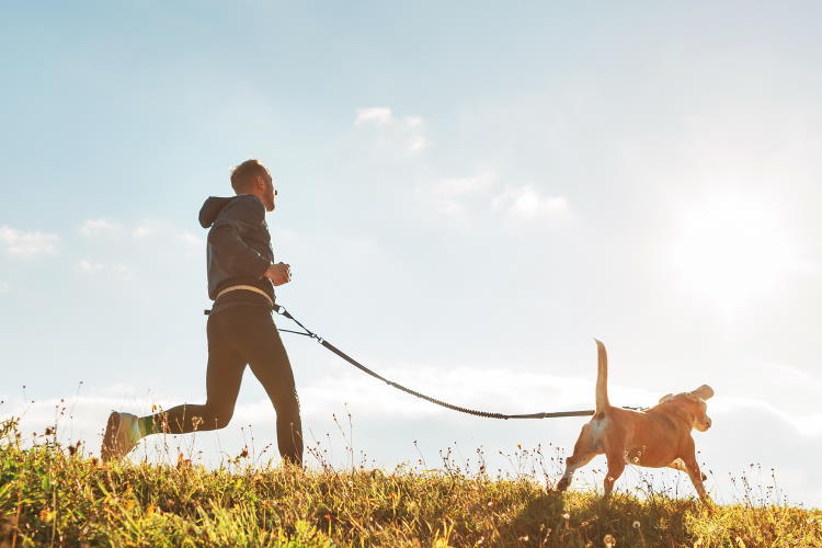 Urlaub mit Hund