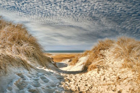 Urlaub Insel Fanø, Dänemark