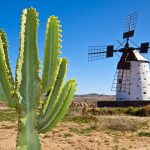 Urlaubsparadies Fuerteventura