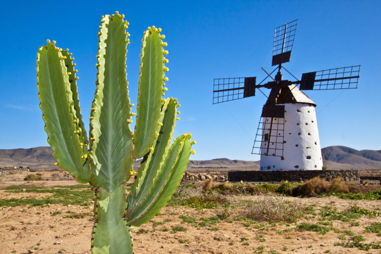 Urlaubsparadies Fuerteventura