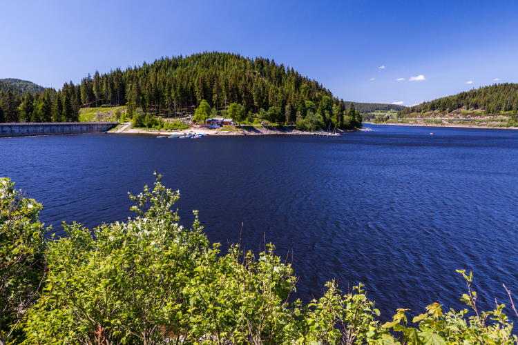 Schluchsee, Schwarzwald