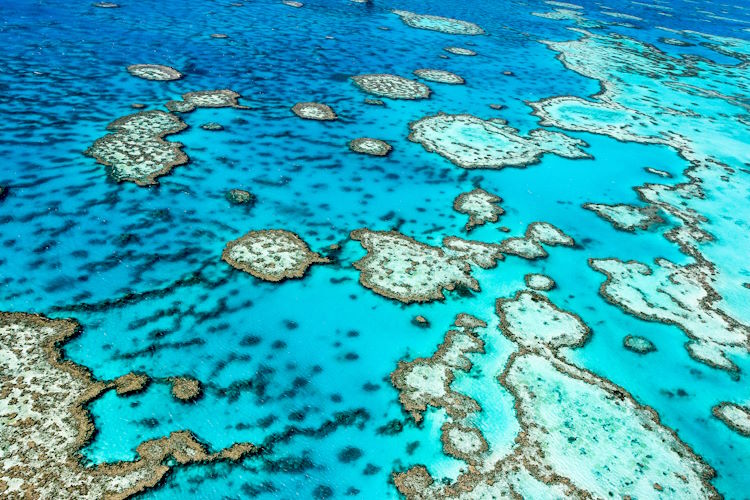 Great Barrier Reef Australien