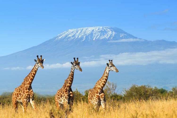 Kenia – Urlaub an Traumstränden und atemberaubenden Nationalparks