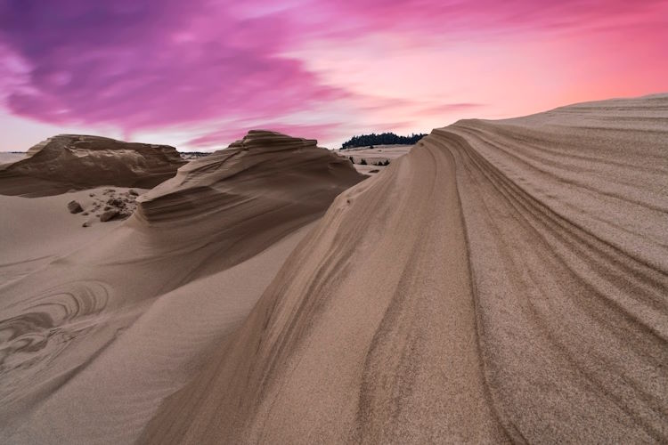 Oregon Dunes