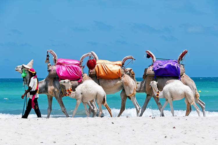 Urlaub auf Djerba