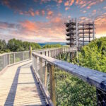 Baumwipfelpfad Deutschland