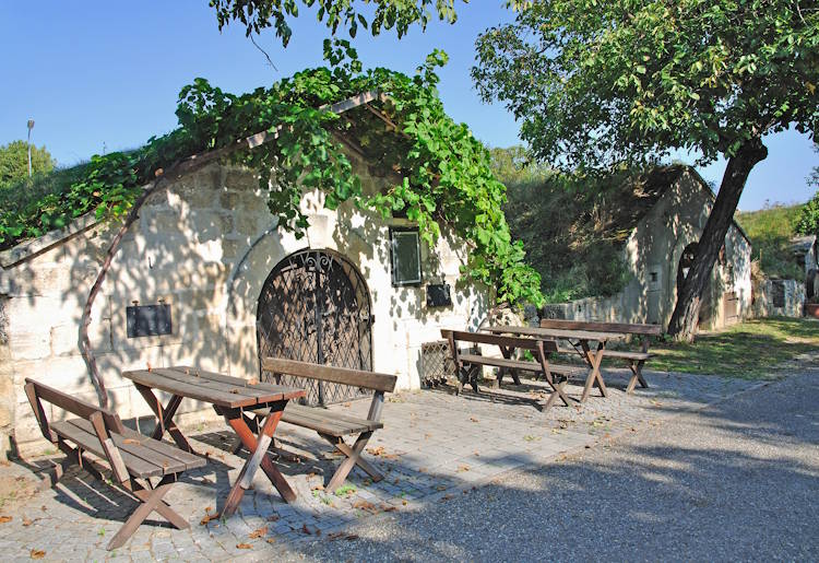 Weinverkostung am Neusiedler See